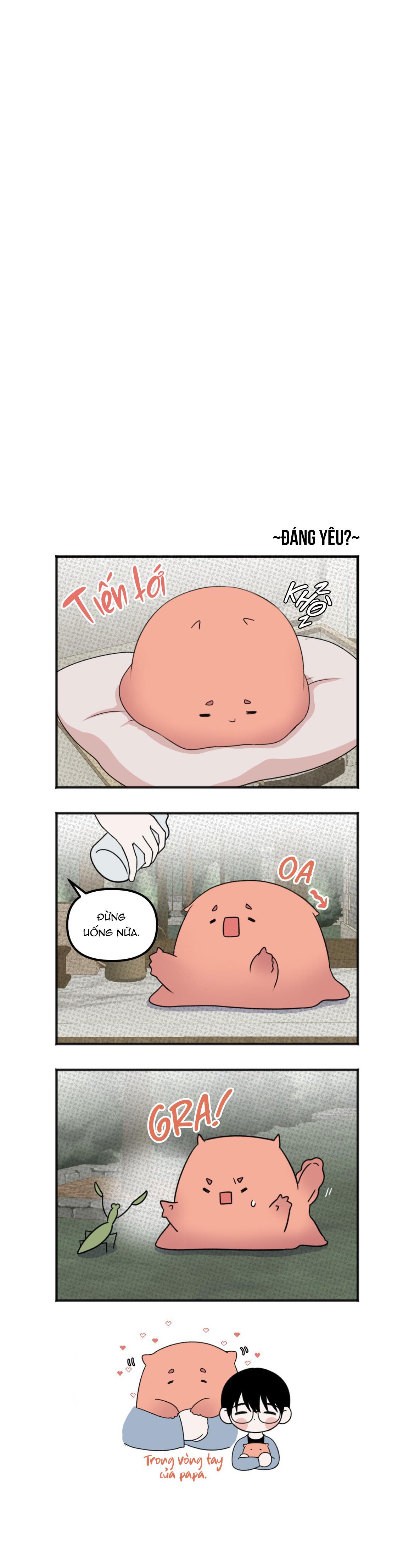 Trang 52