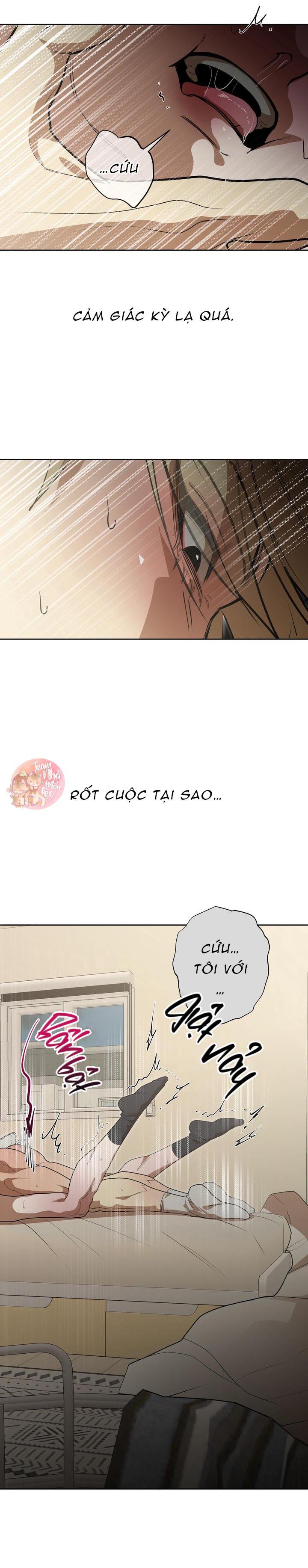 Trang 35