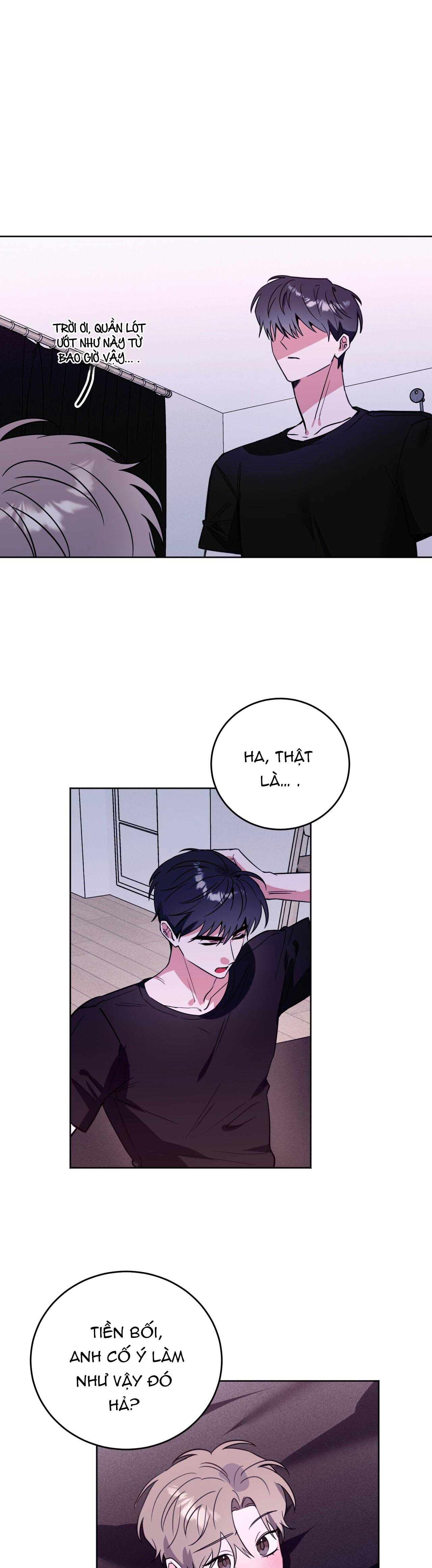 Trang 19