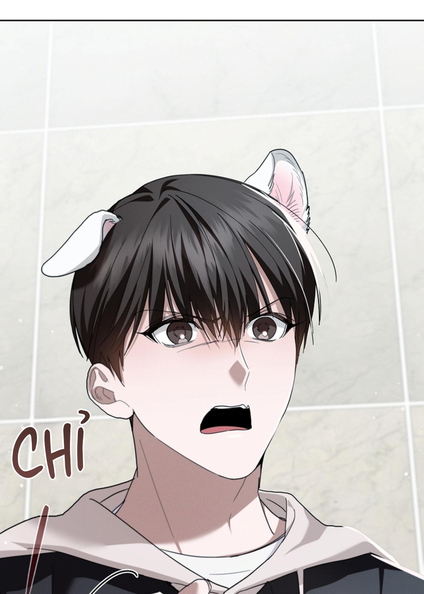 Trang 33