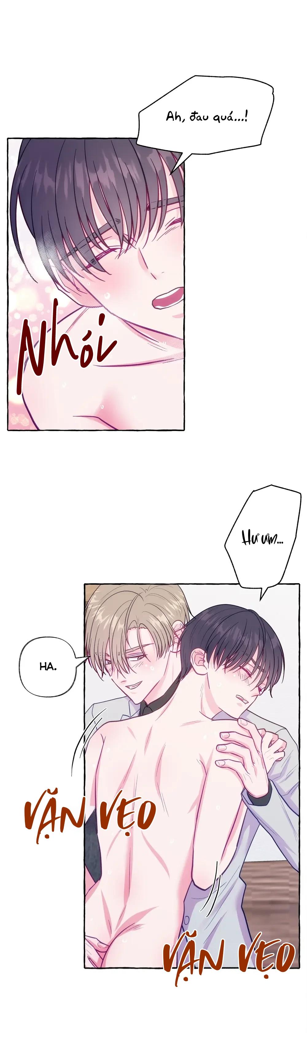 Trang 15