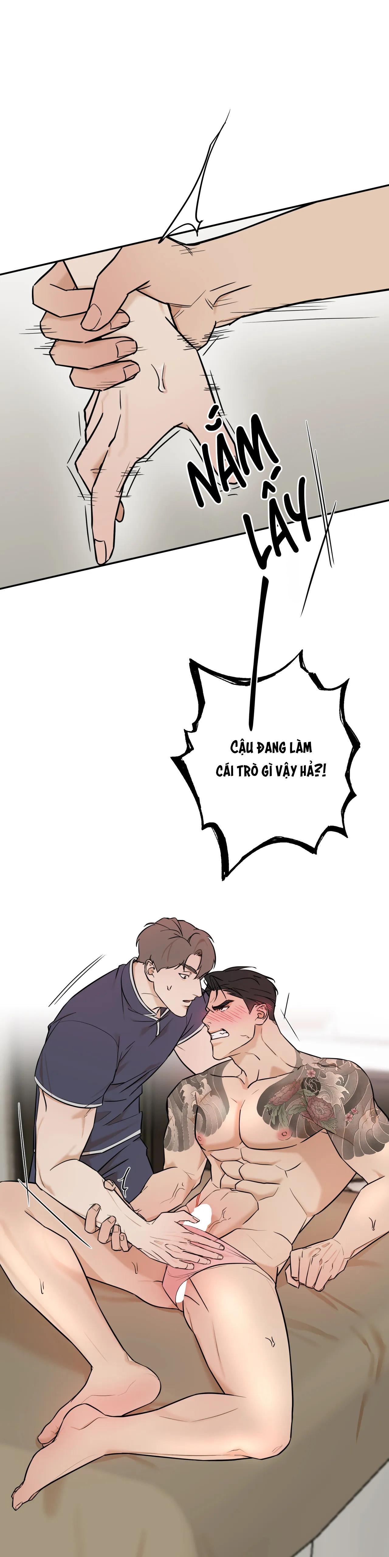 Trang 19
