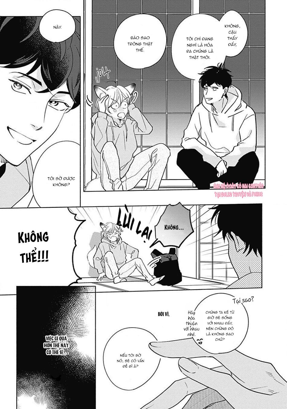 Trang 29