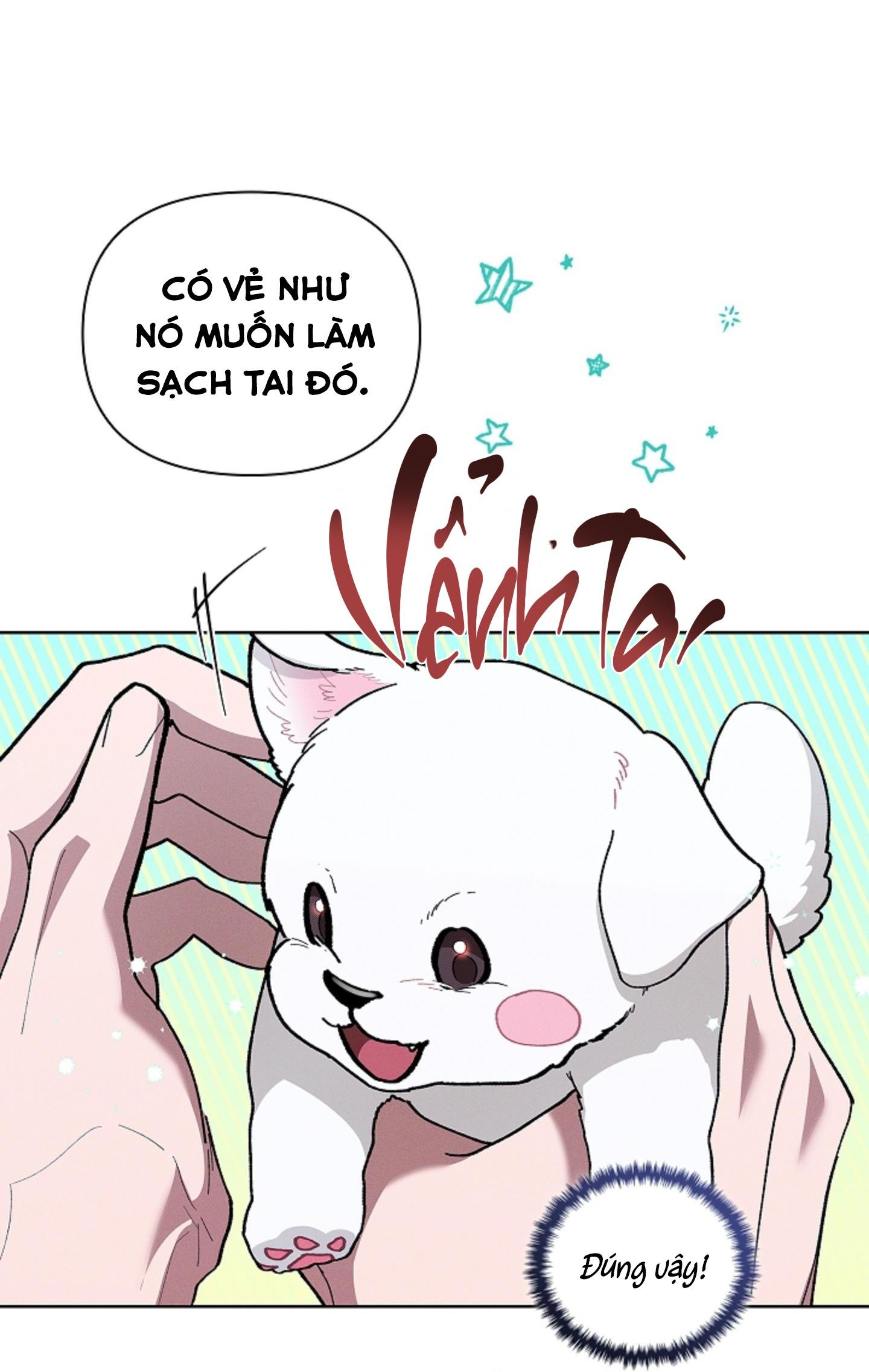 Trang 57