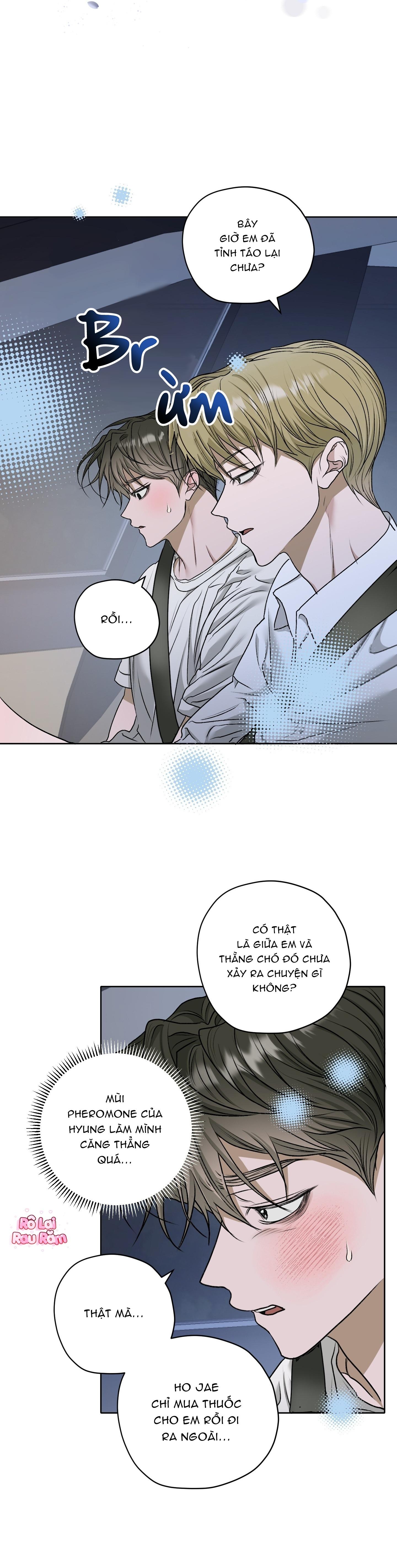 Trang 15