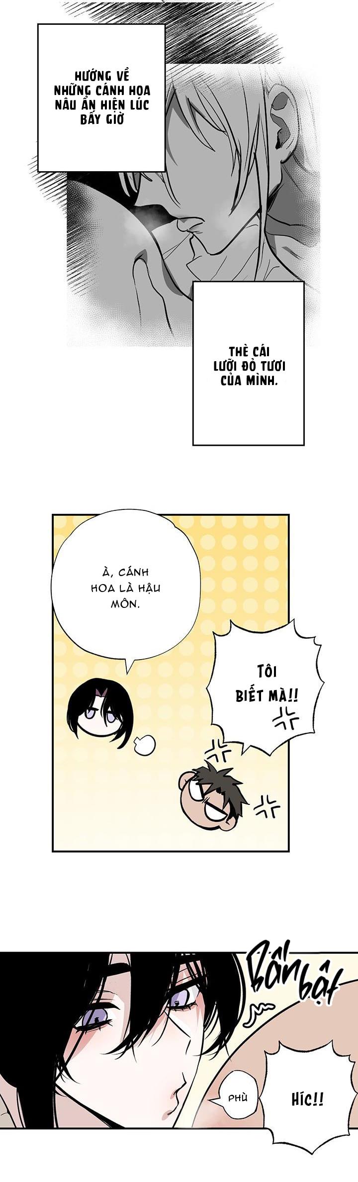 Trang 18