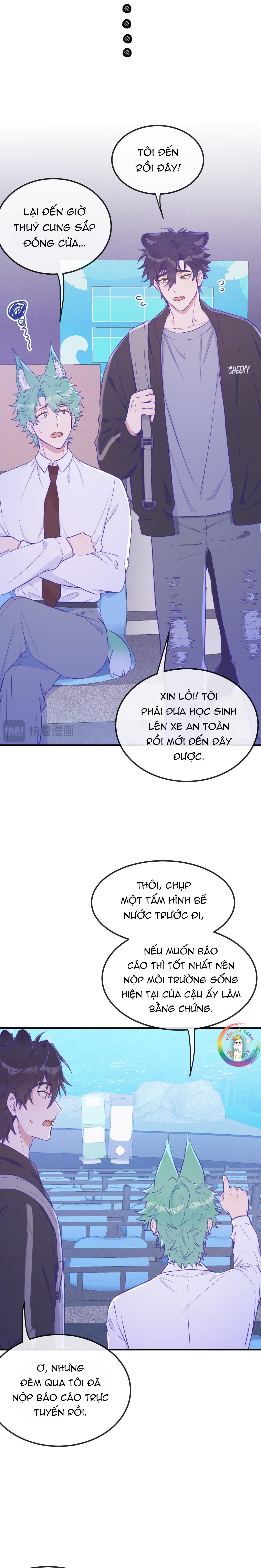 Trang 17