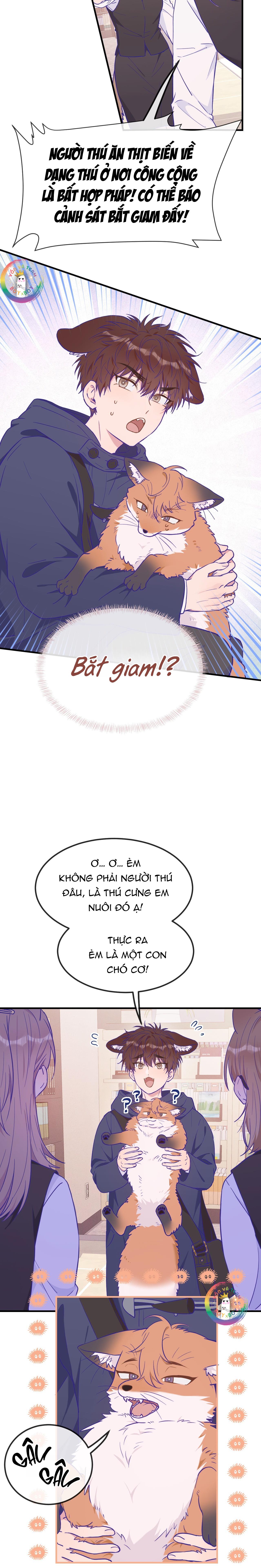 Trang 5