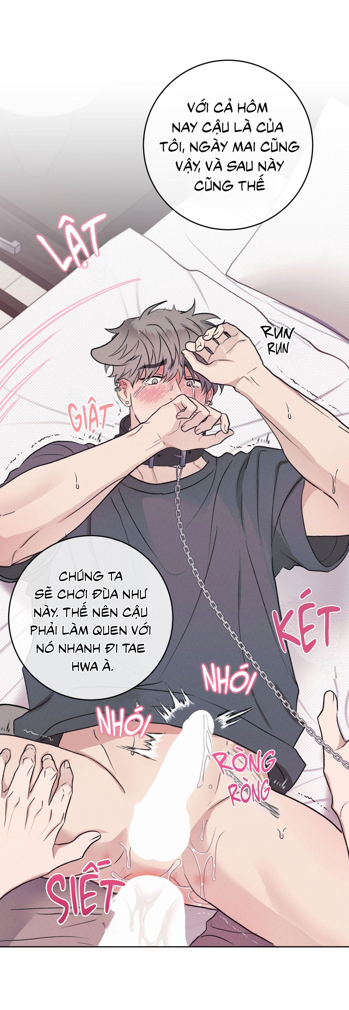 Trang 53