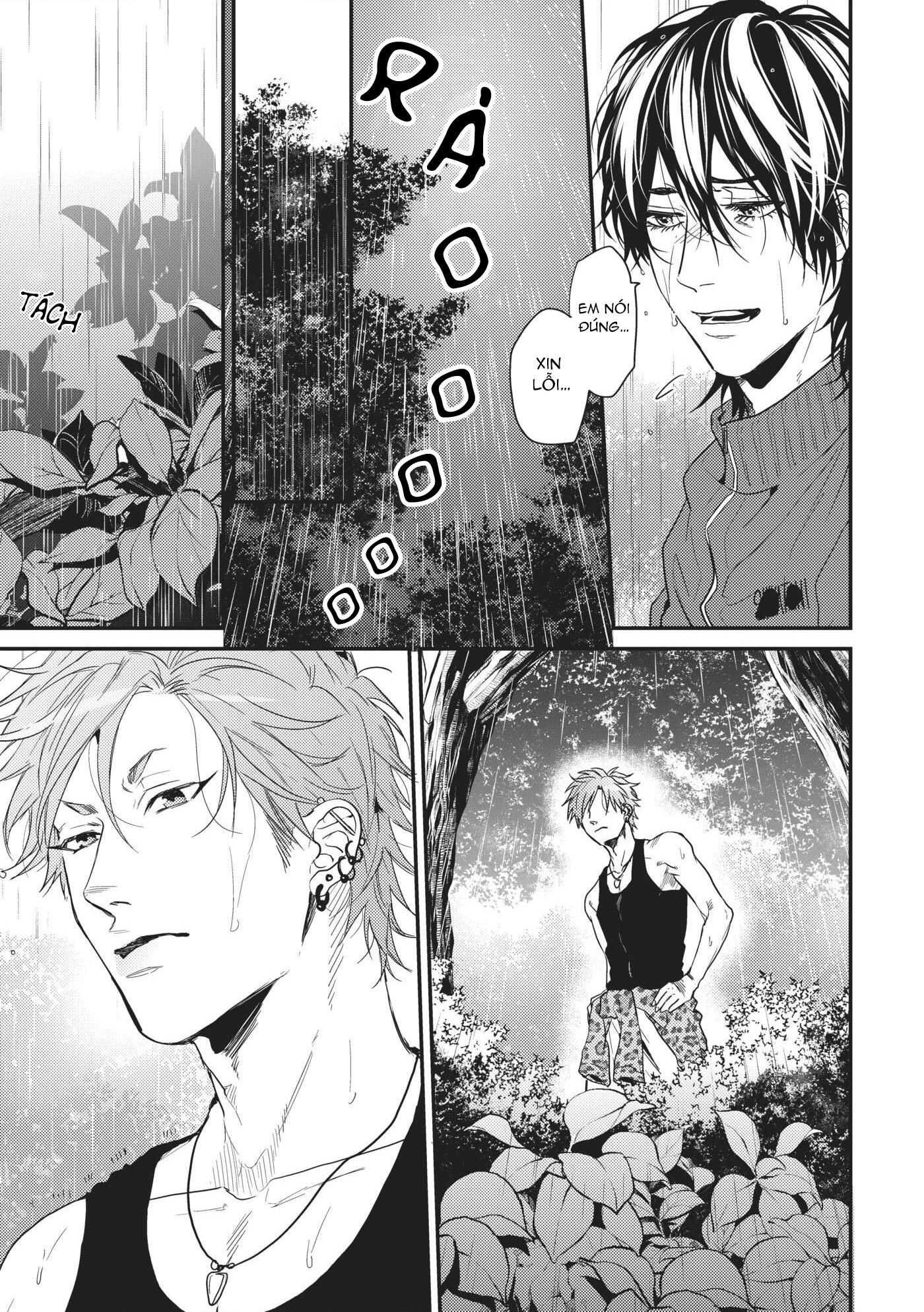 Trang 15