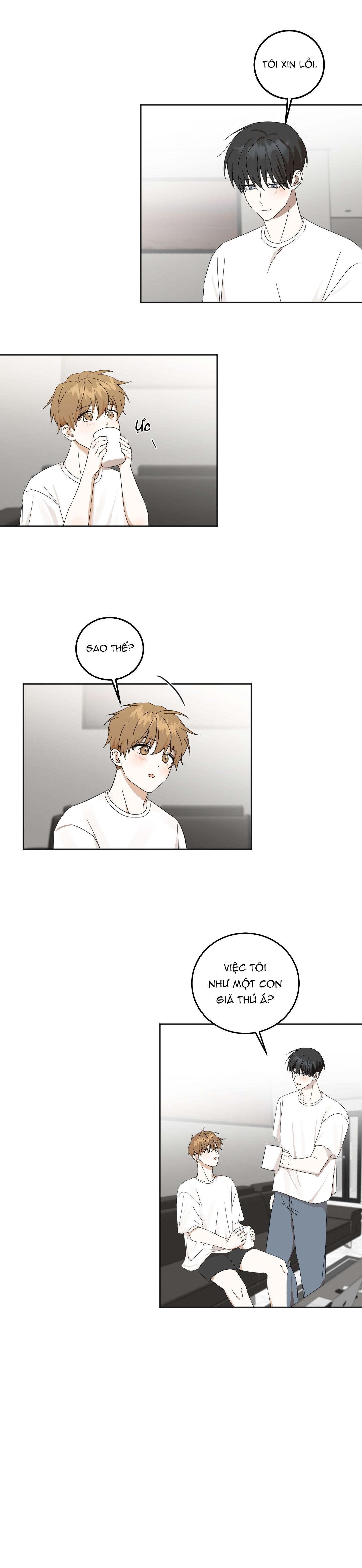 Trang 21