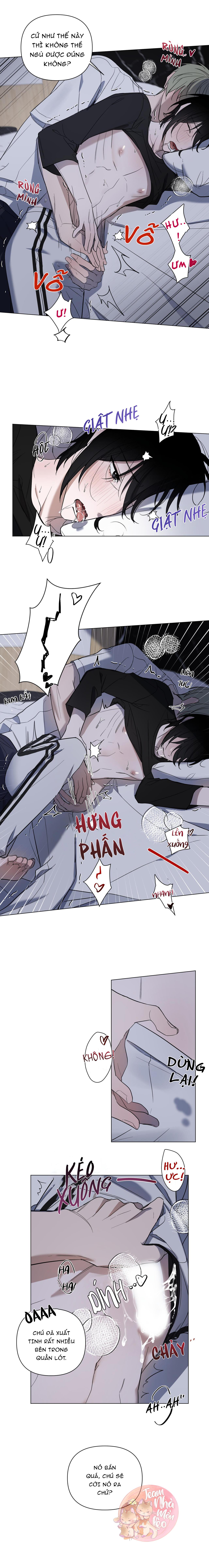 Trang 15