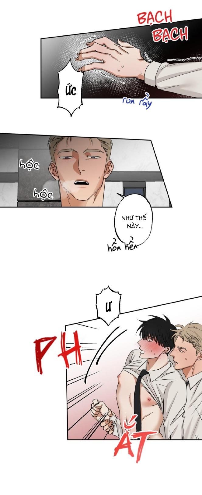 Trang 15
