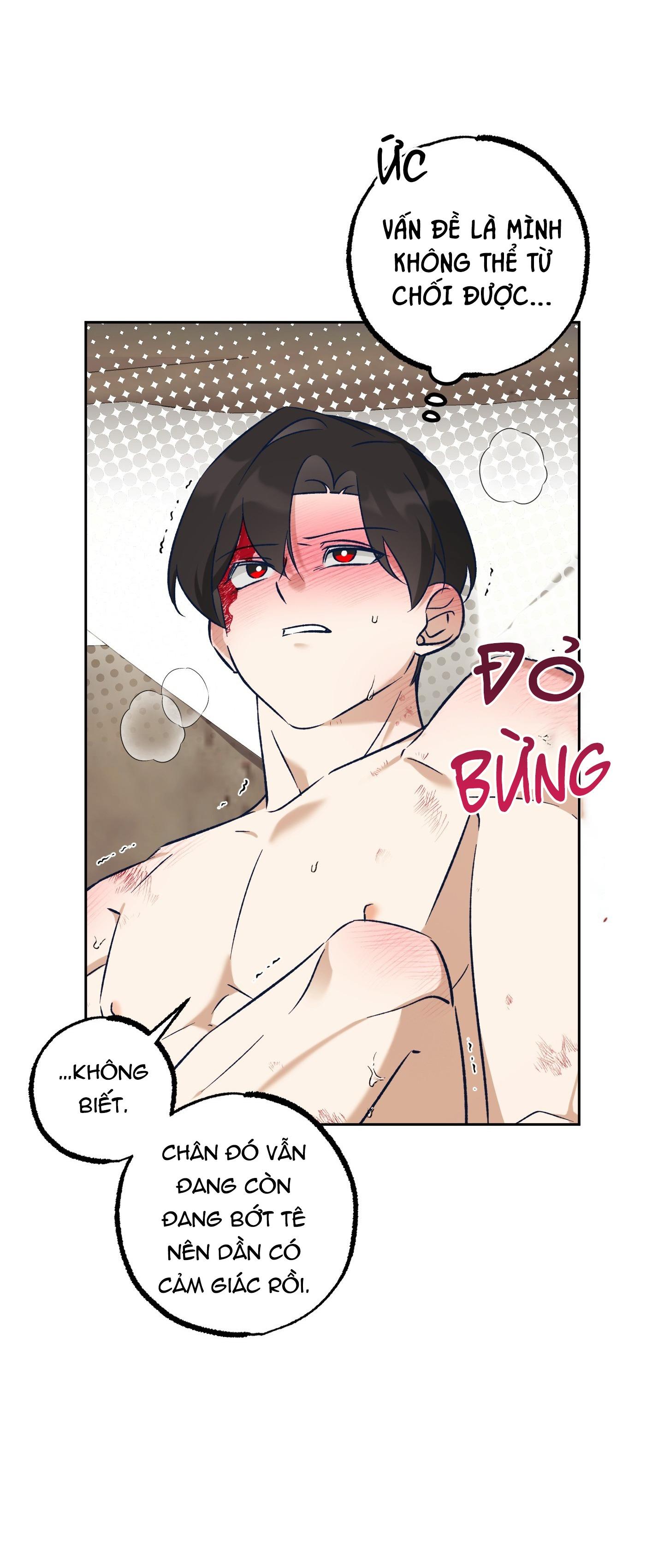 Trang 31
