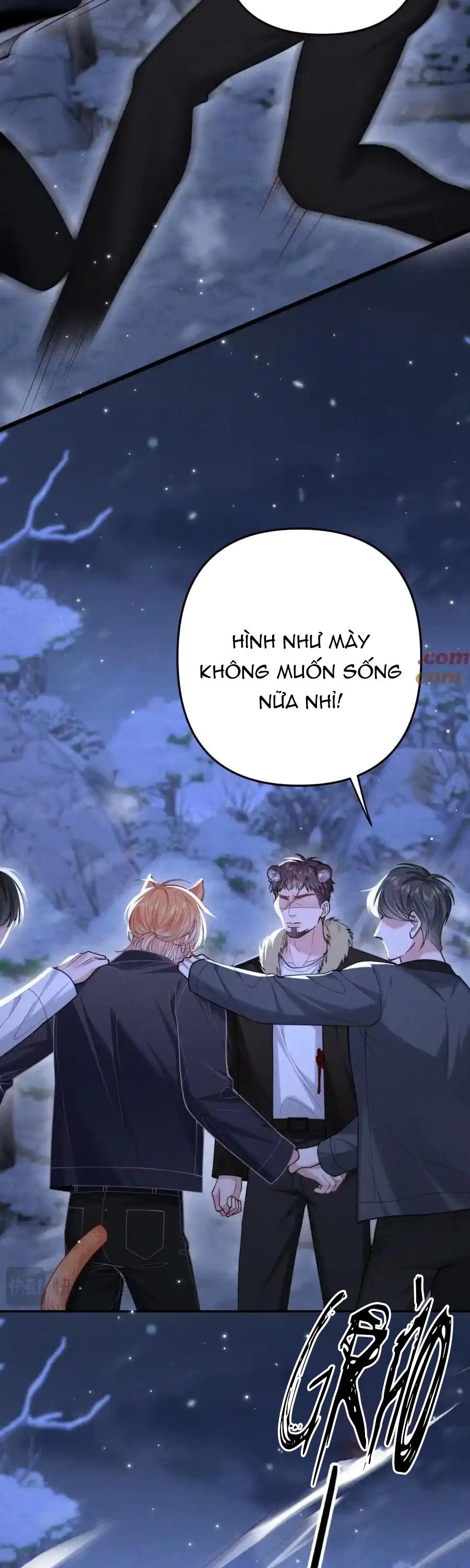 Trang 24