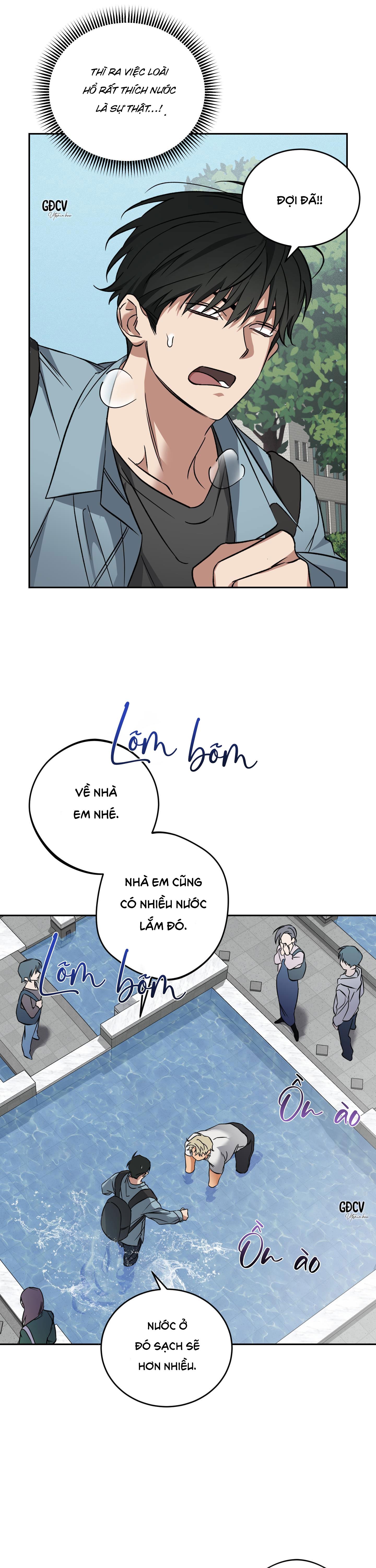 Trang 16