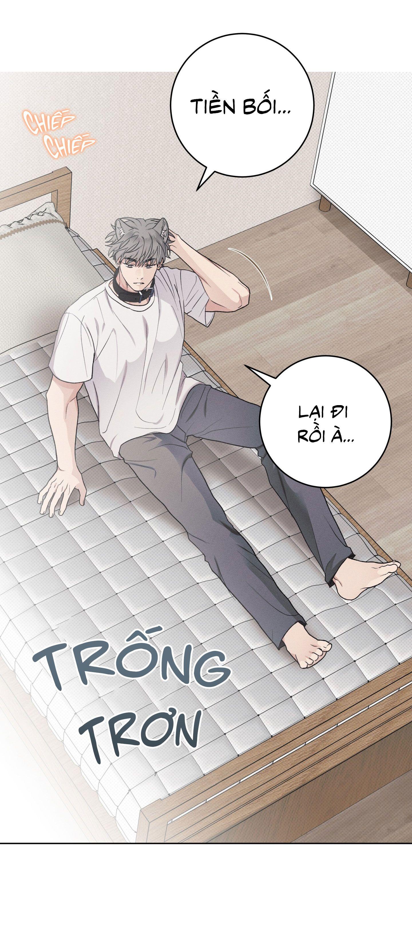 Trang 50