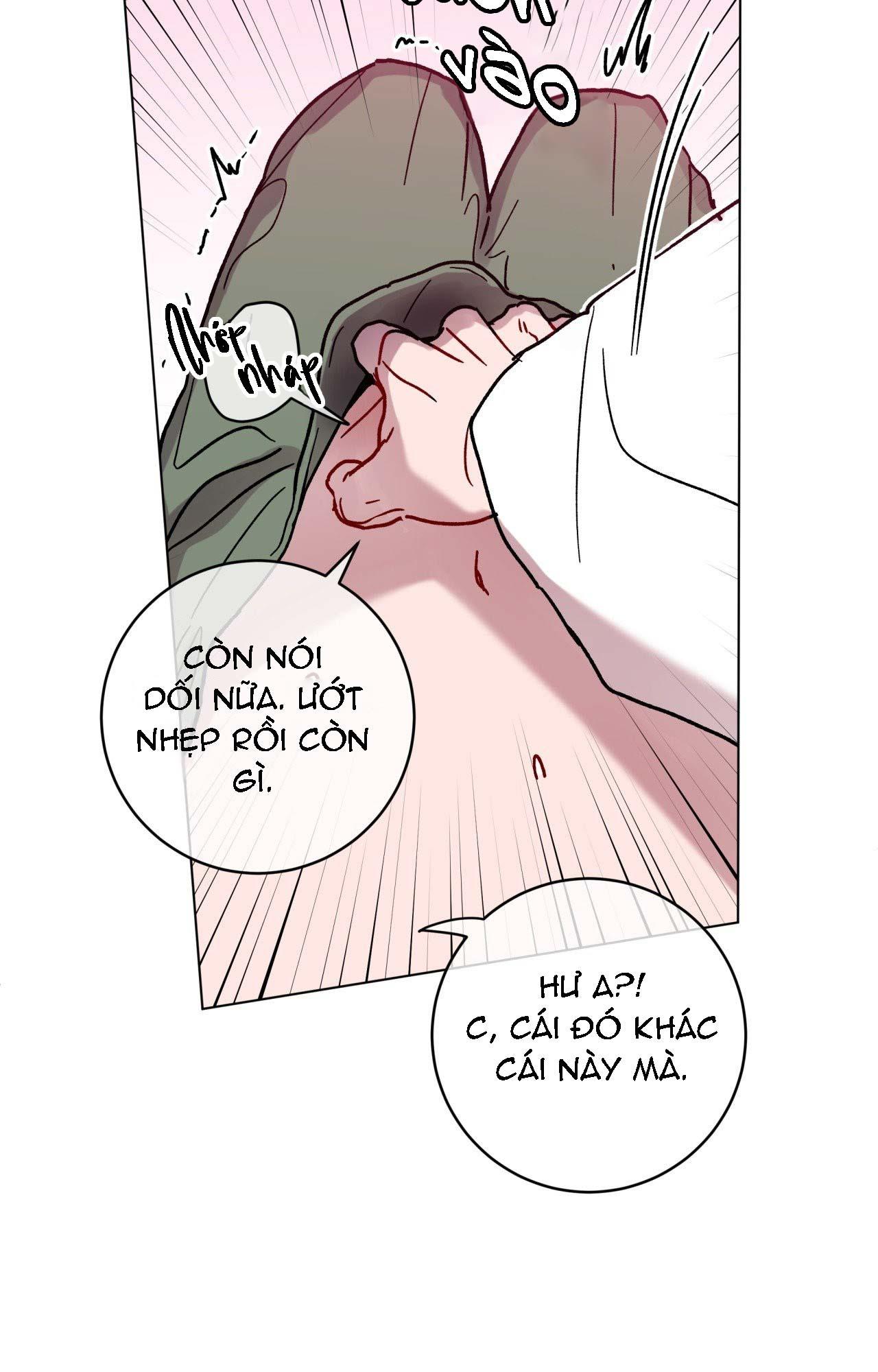 Trang 51