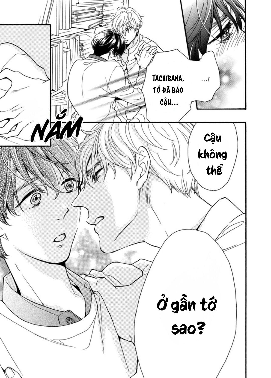 Trang 19