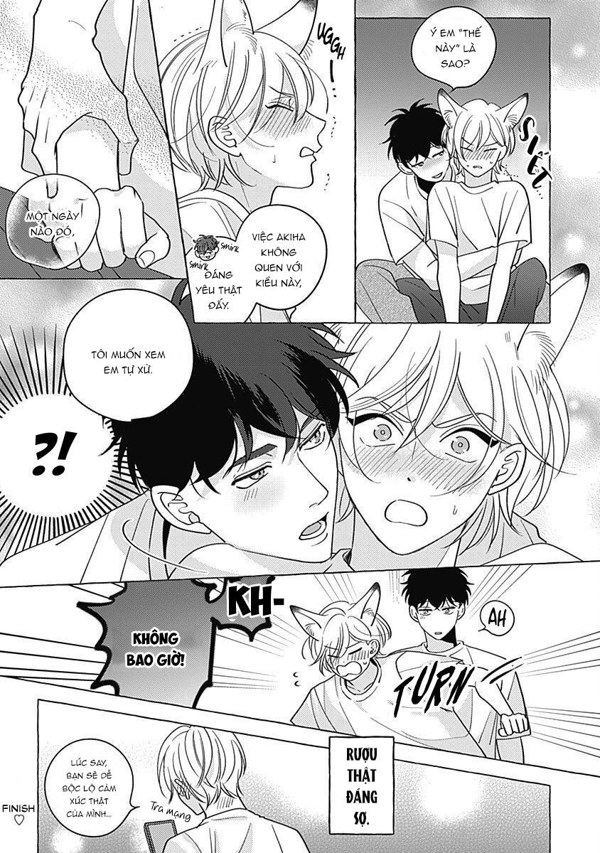 Trang 21