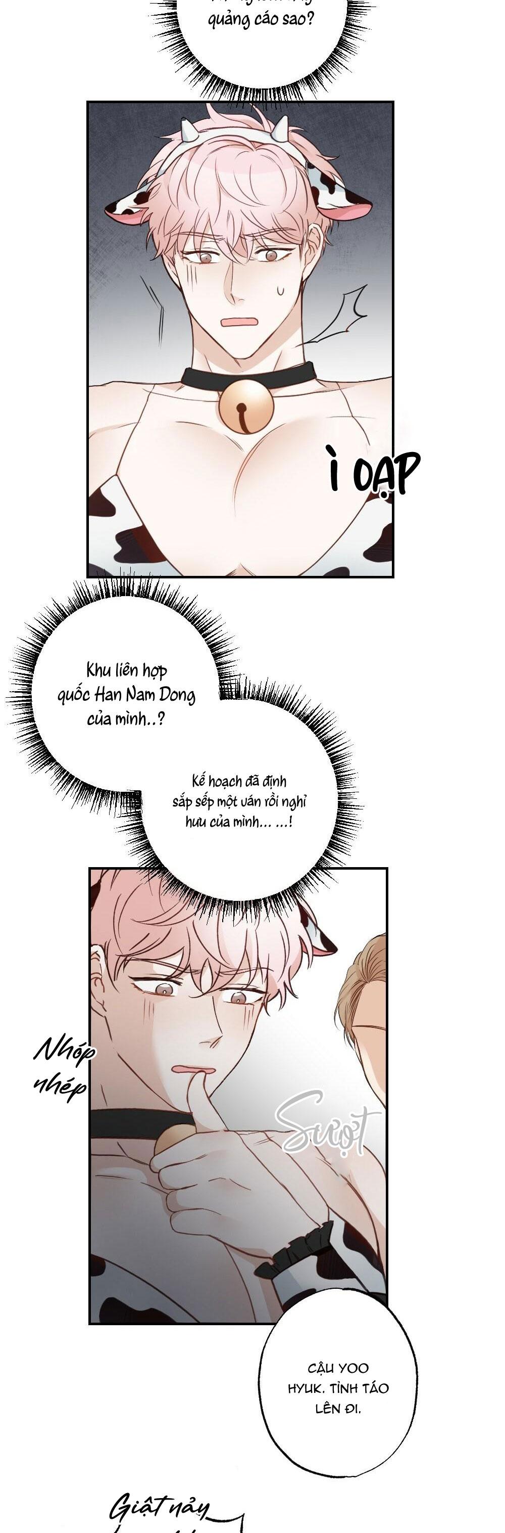 Trang 17