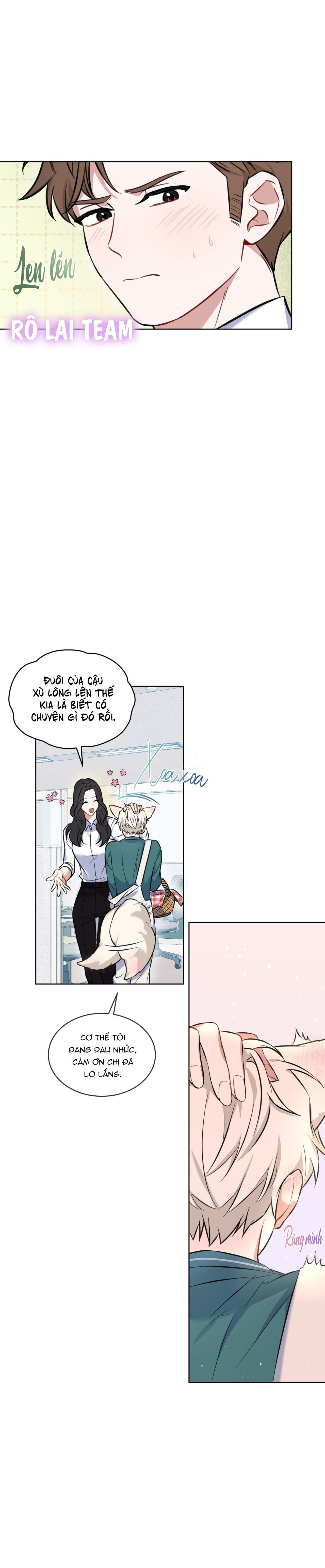 Trang 20