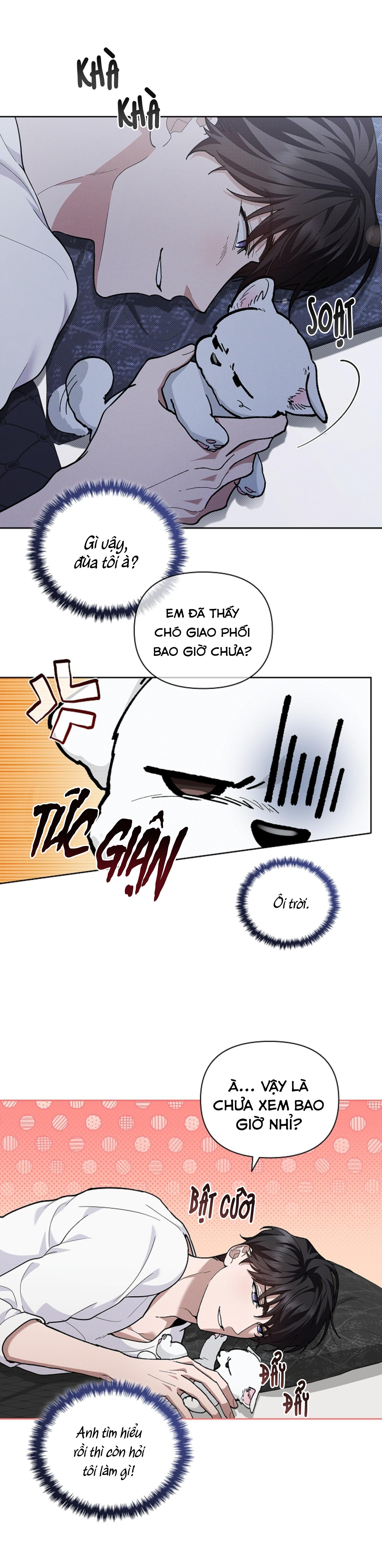 Trang 21