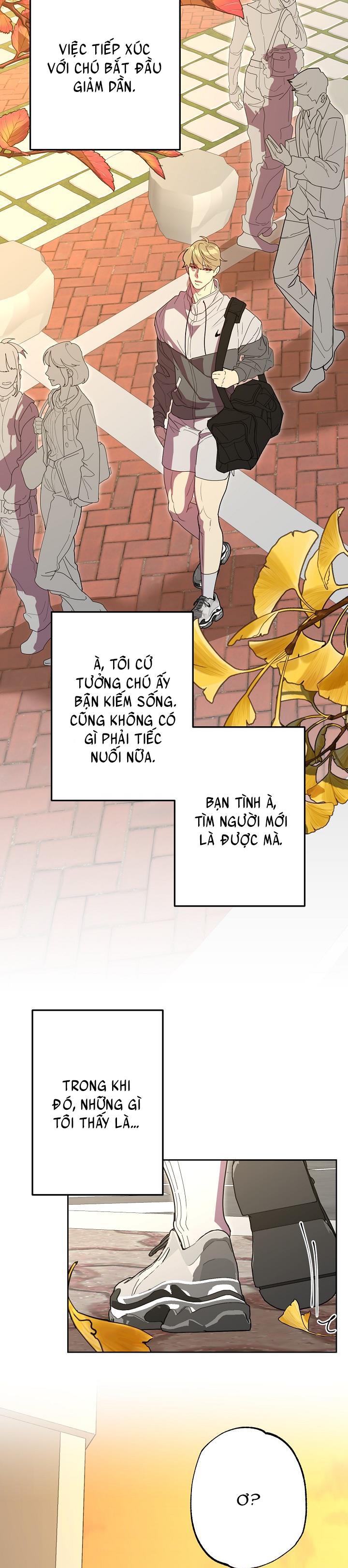 Trang 31