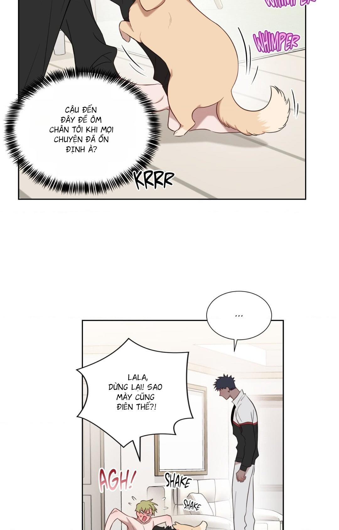 Trang 36