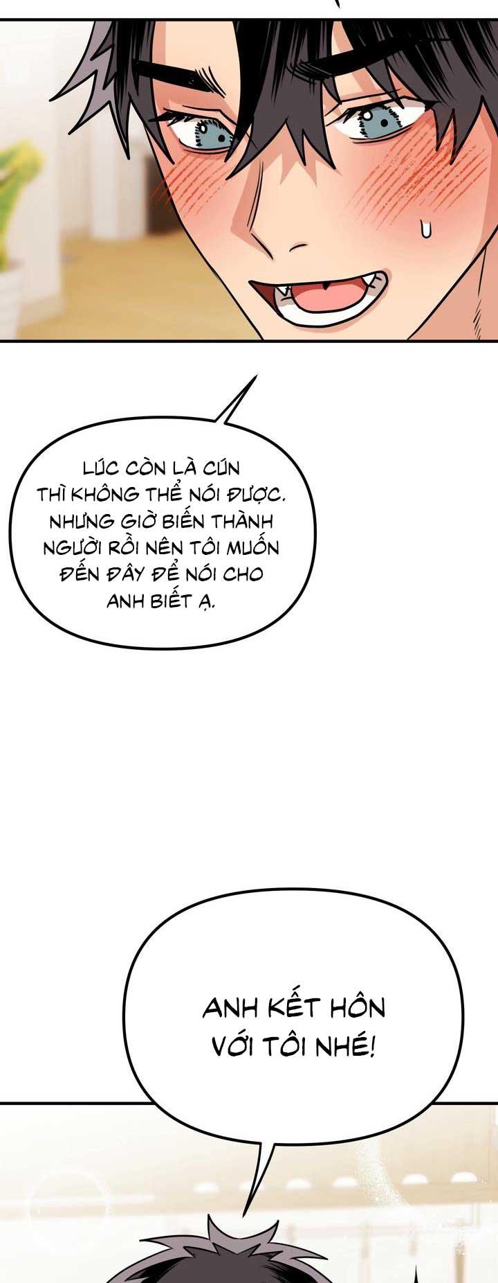 Trang 51