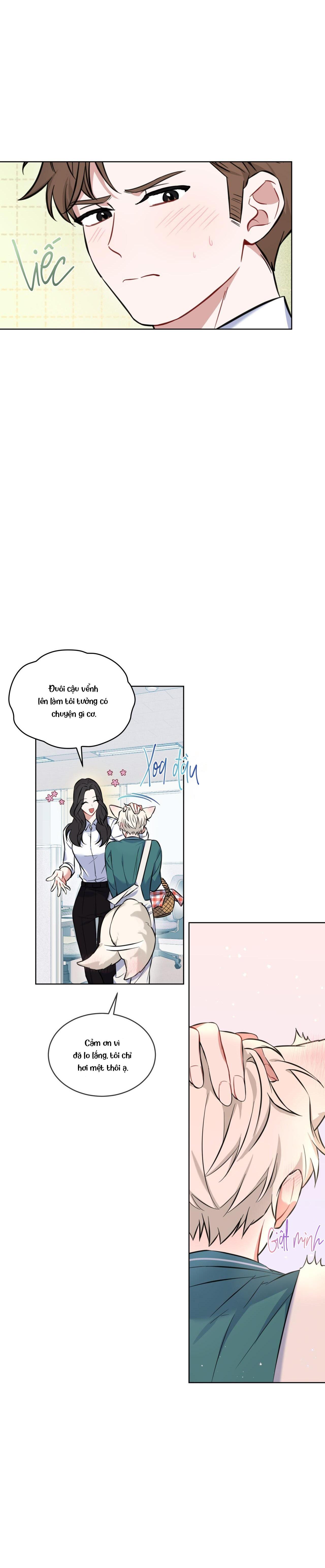 Trang 31