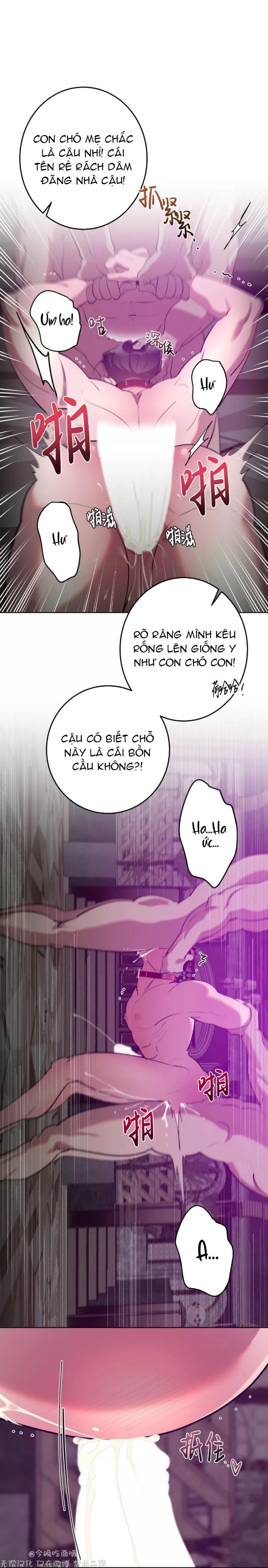 Trang 16