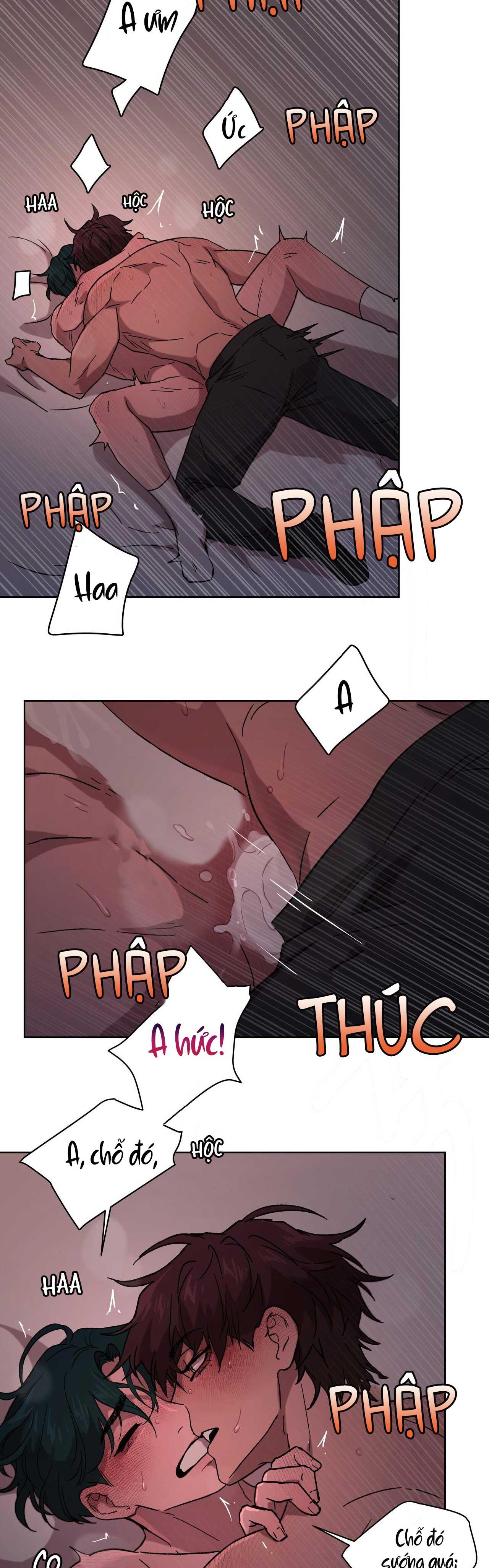 Trang 24