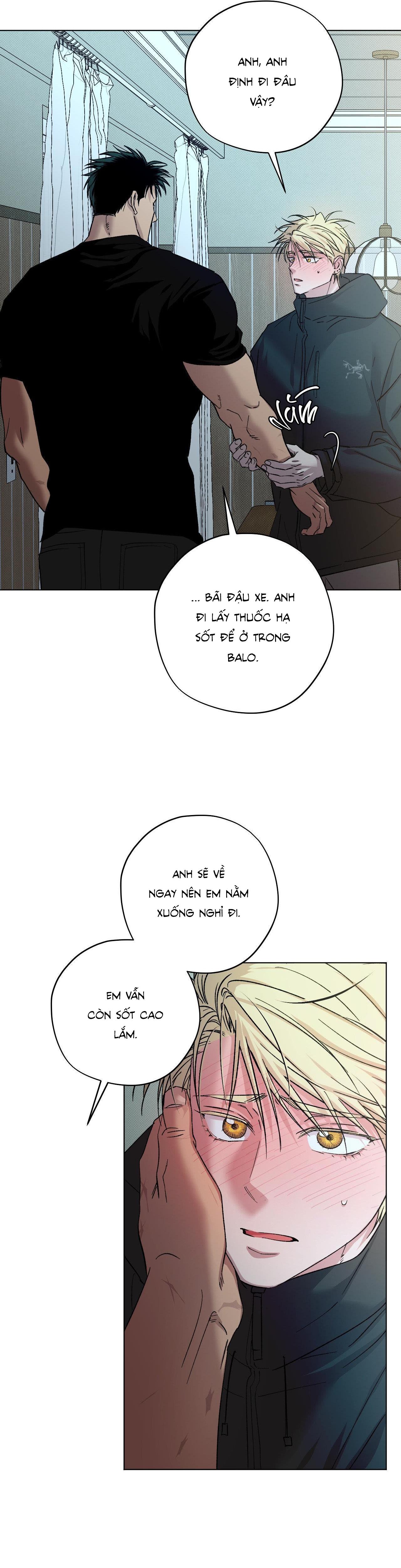 Trang 29
