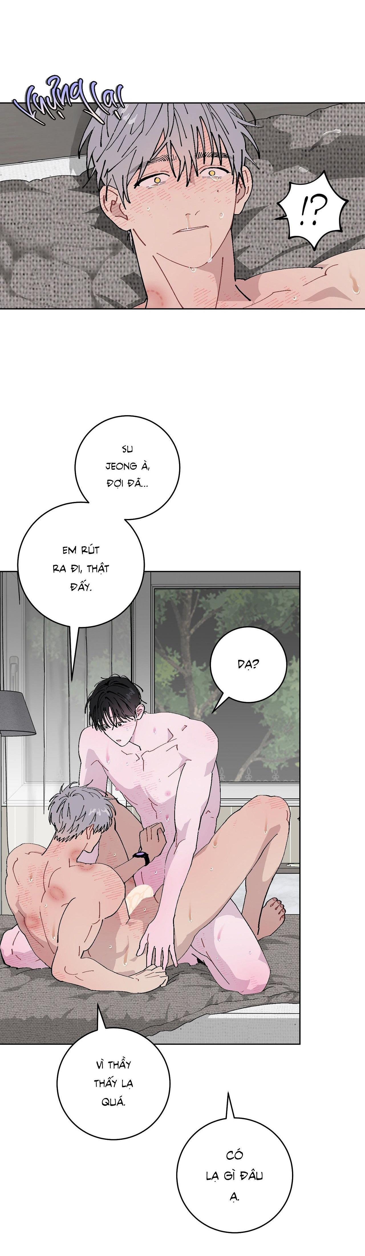 Trang 15