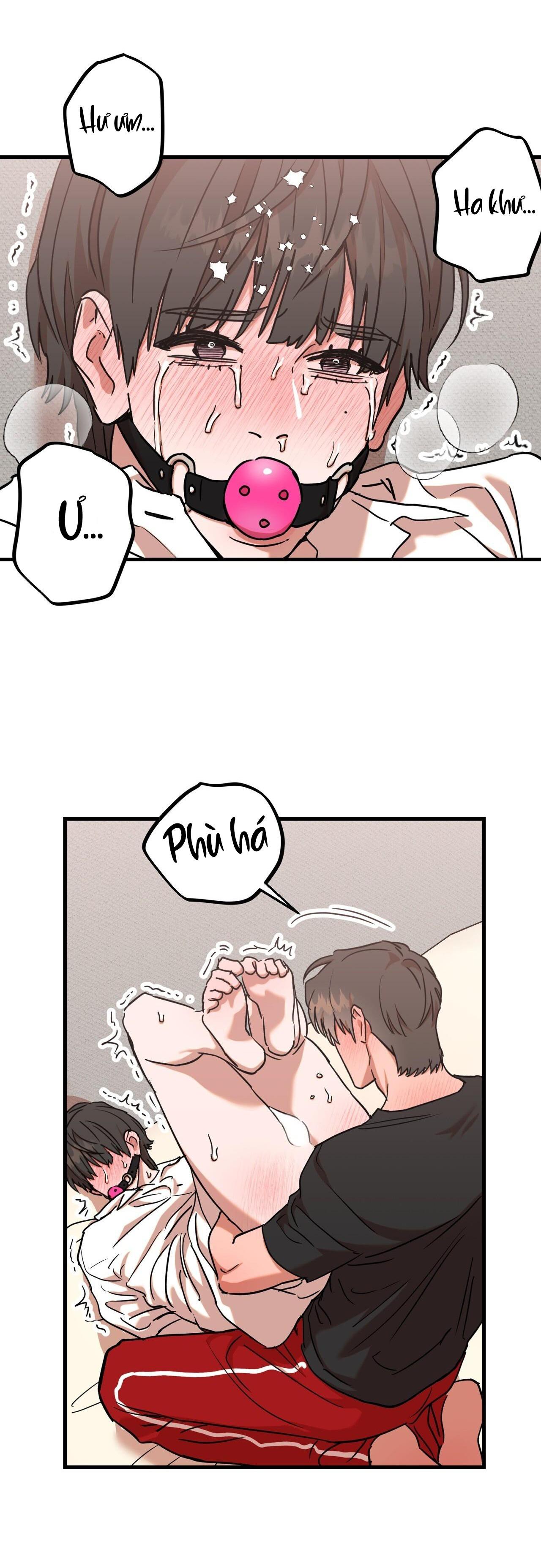 Trang 5