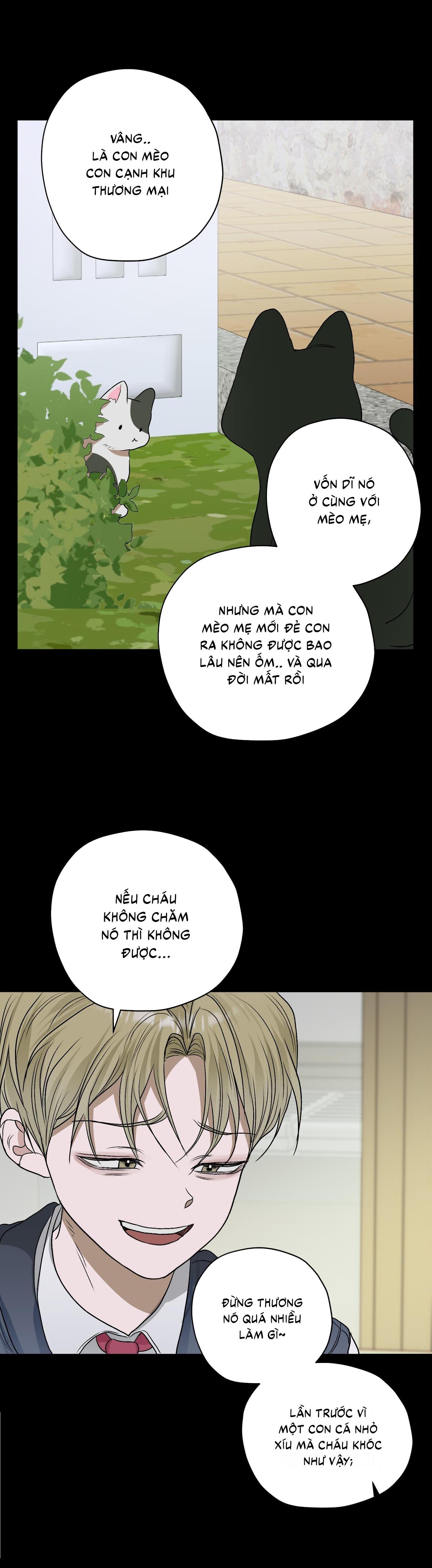 Trang 37