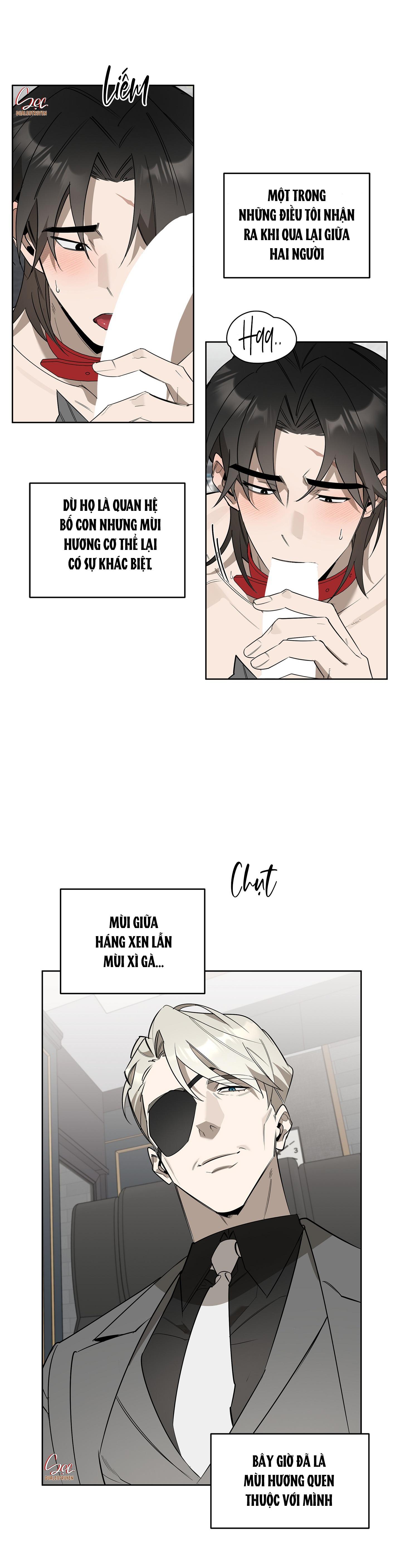 Trang 23