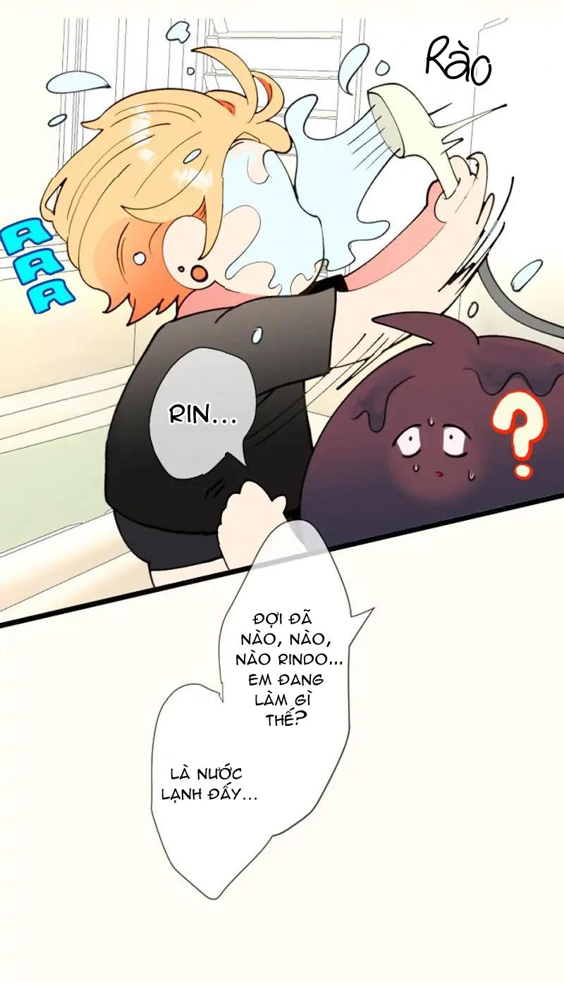 Trang 24