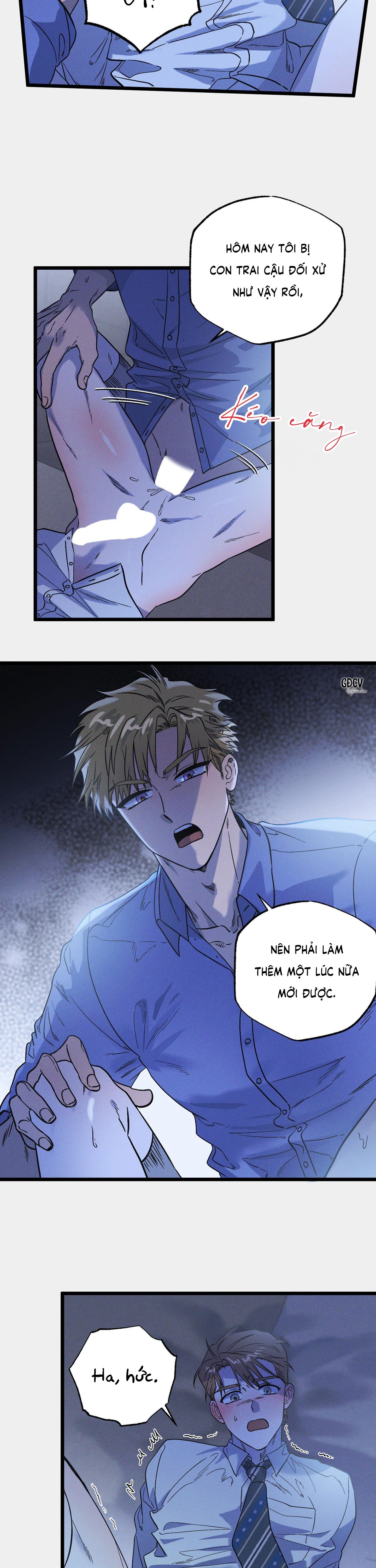 Trang 19