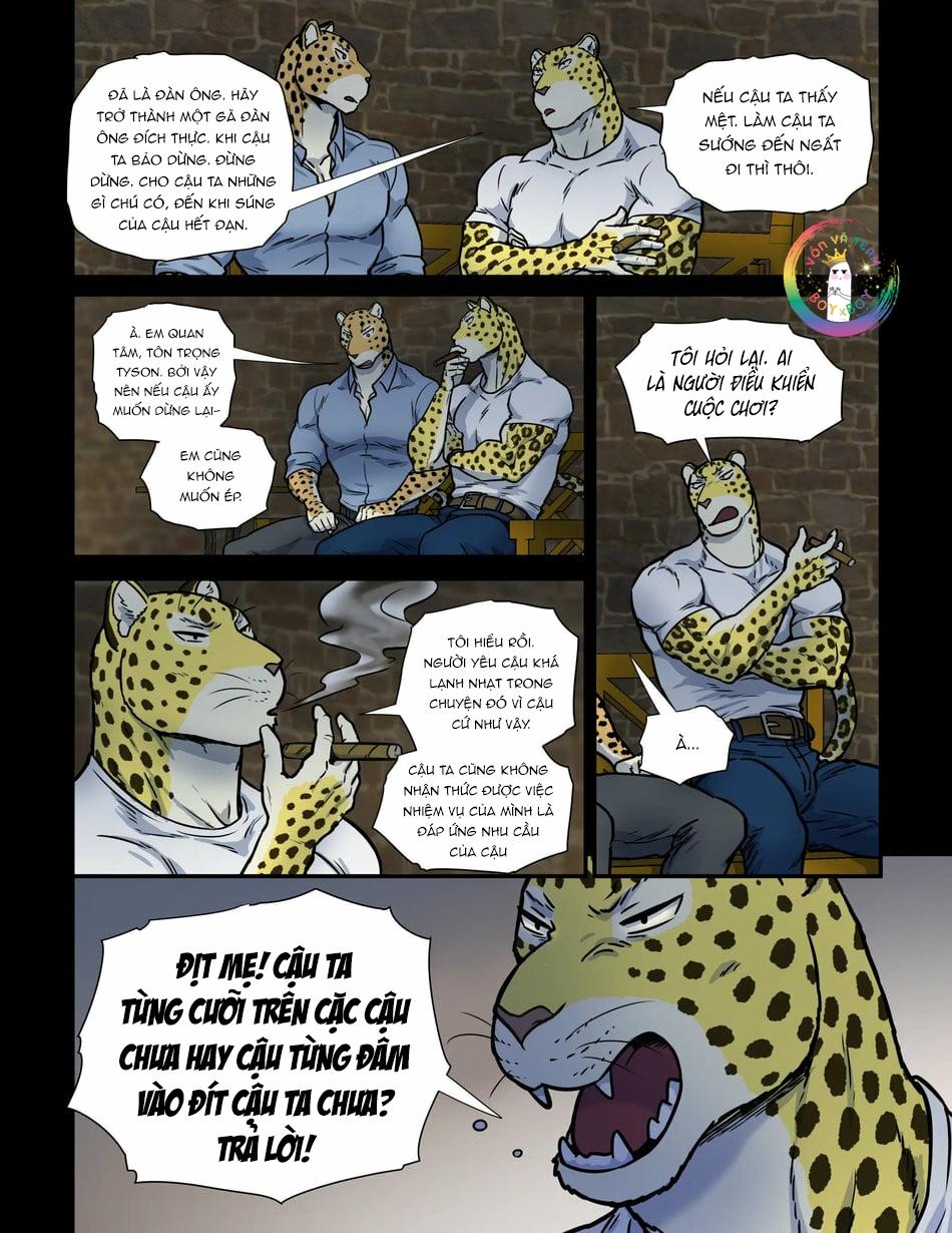 Trang 17