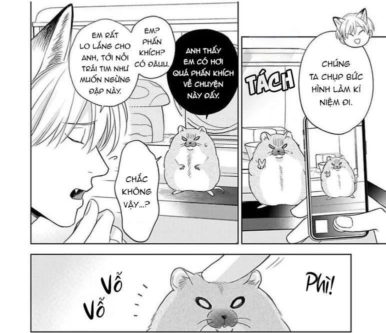 Trang 21