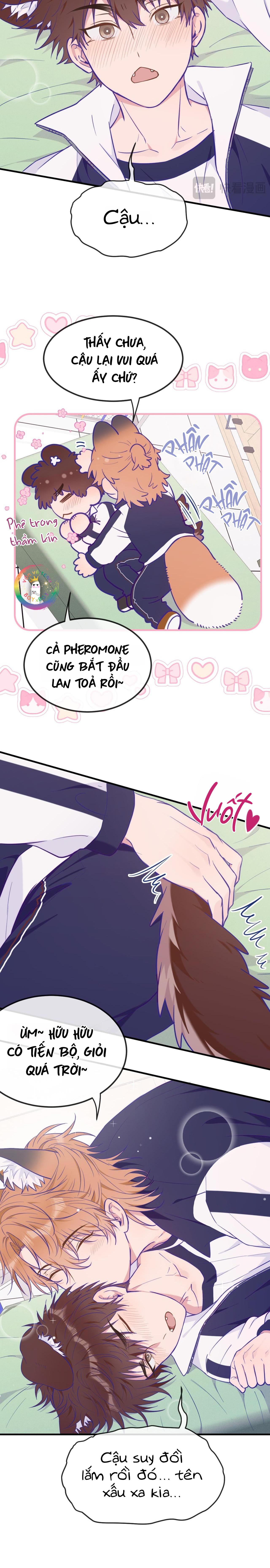 Trang 17
