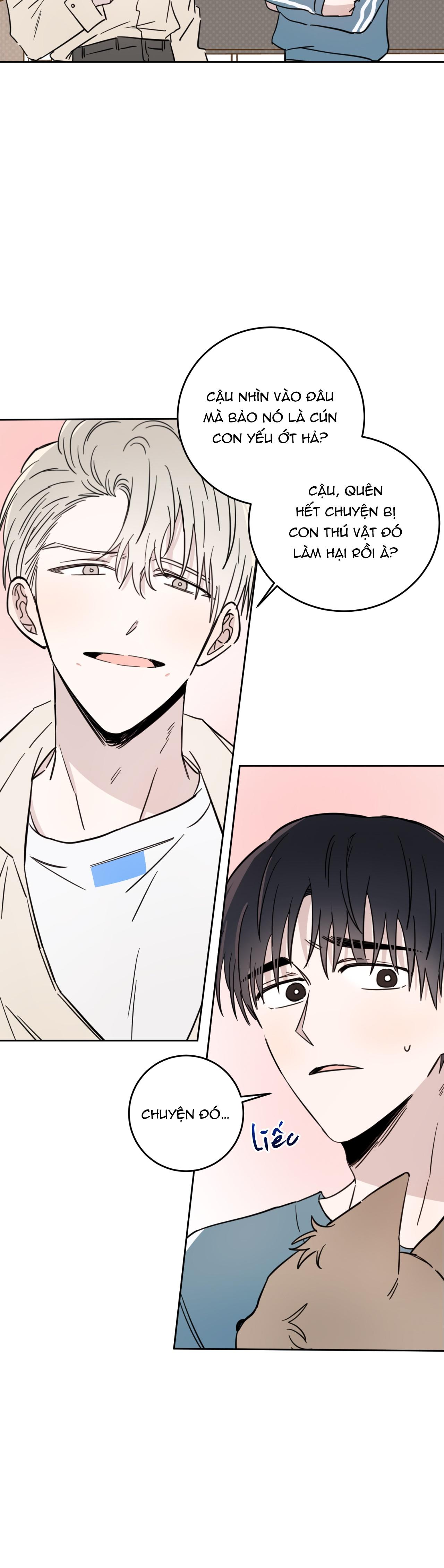 Trang 24