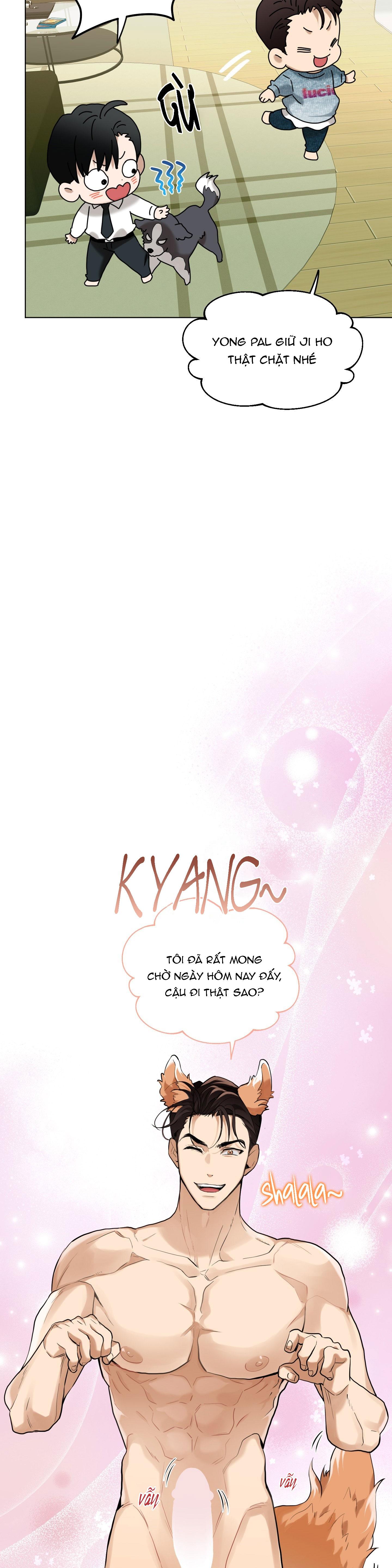 Trang 17