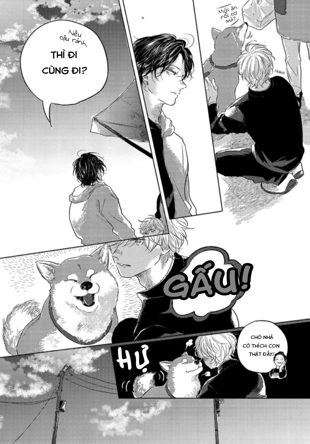 Trang 17