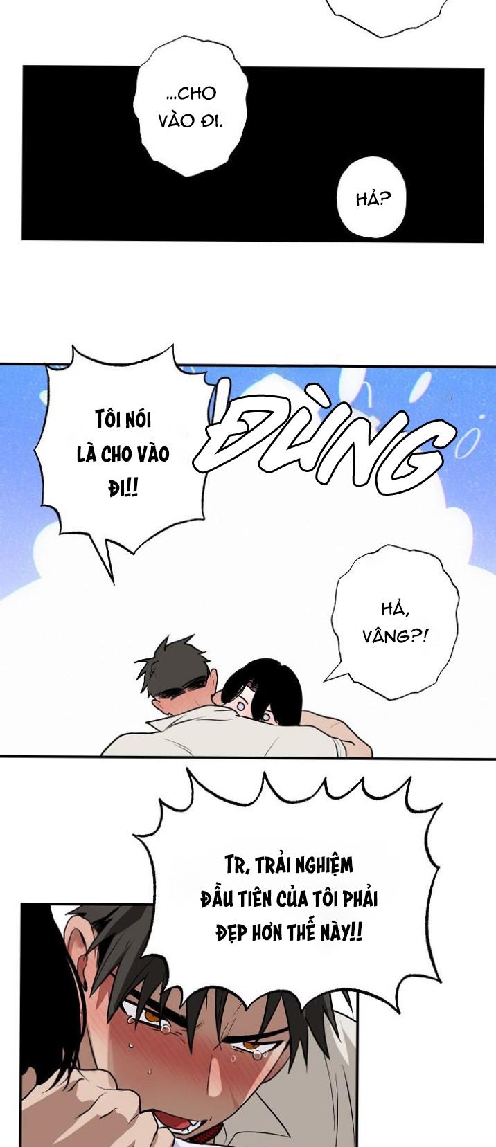 Trang 24