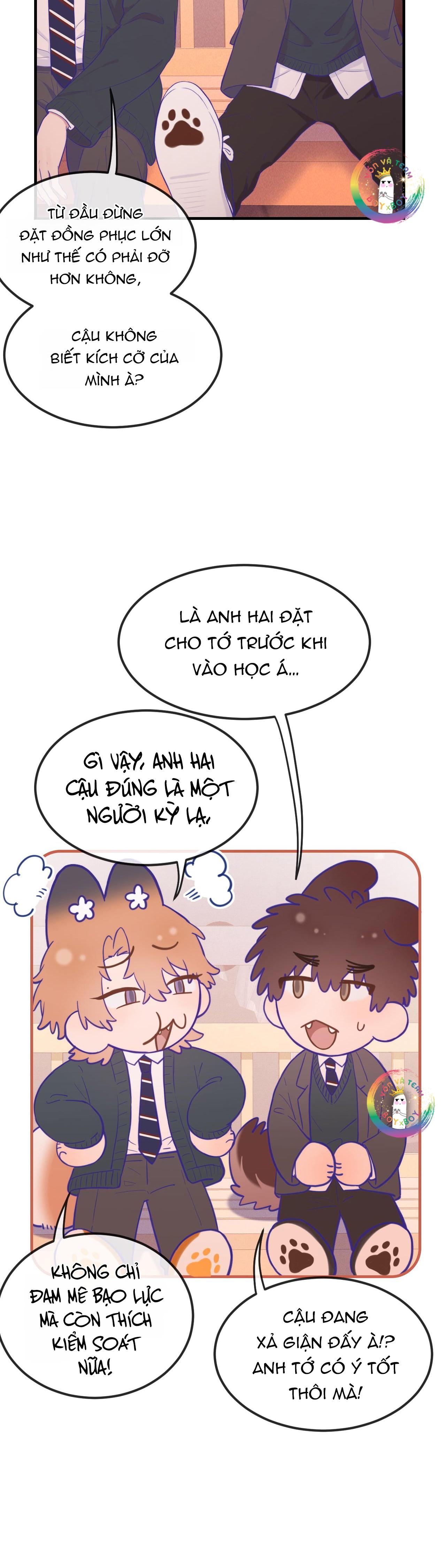 Trang 12