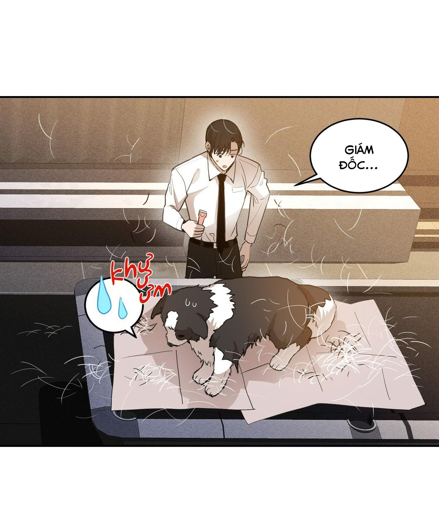 Trang 41