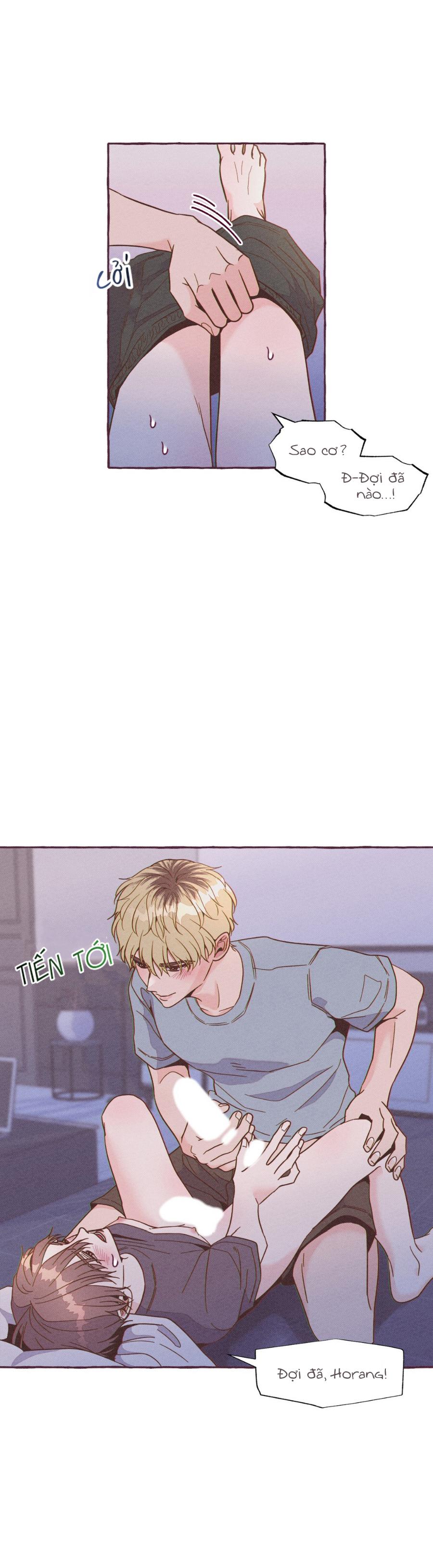 Trang 31